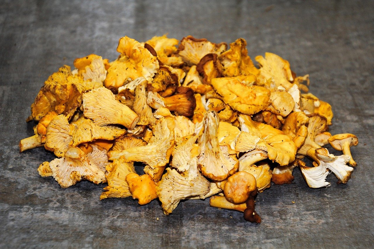 chanterelles, egg mushroom, mushrooms, edible, mushroom, yellow, meal, reherl, delicacy, edible mushroom, vegetable market, enjoyment, food, fall, farmers local market